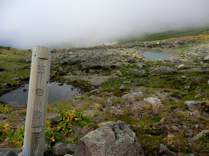 b0185573_15173851.jpg