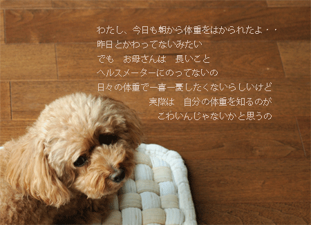 c0196673_8253228.gif