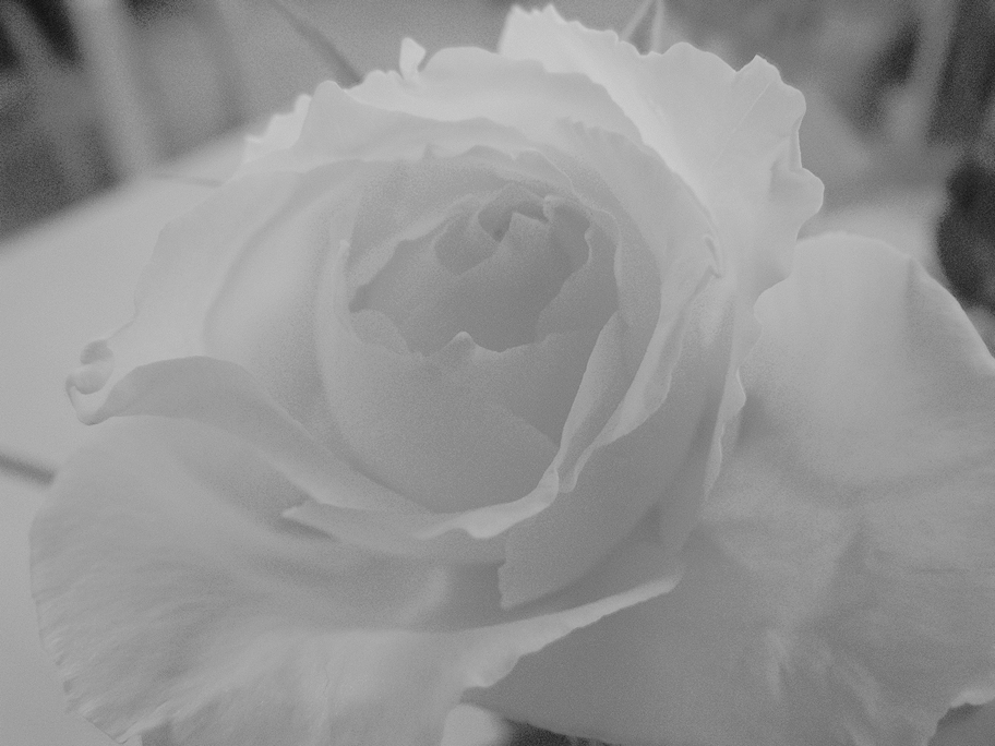 d0054076_9493925.jpg