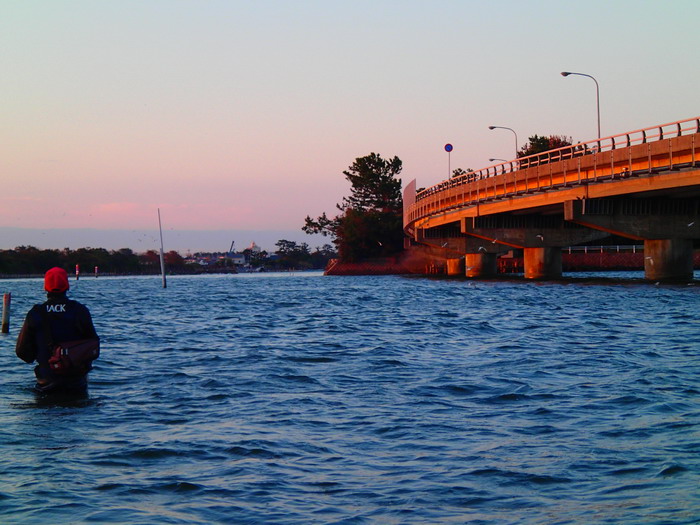 c0197578_1312852.jpg