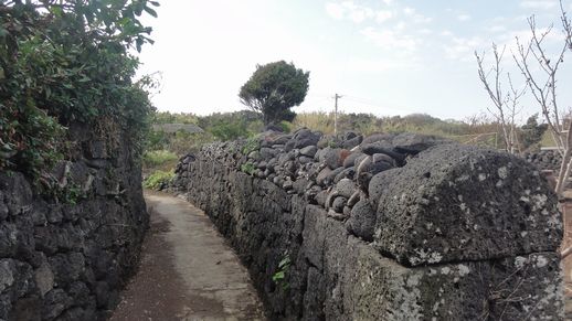 d0082980_21554518.jpg