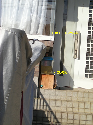 b0136381_128860.jpg