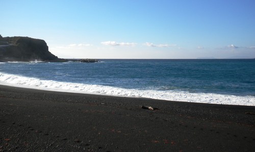 c0204385_2012934.jpg