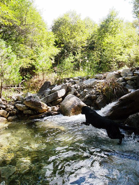 a0093592_229233.jpg