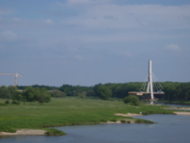 a0056401_704542.jpg