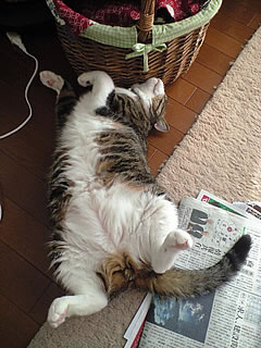 c0035001_15375142.jpg