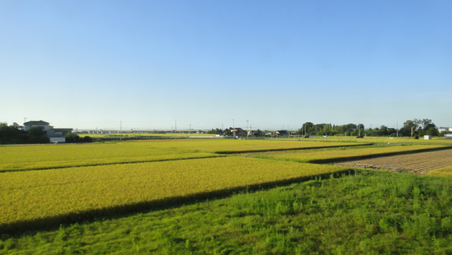 d0004301_16432616.jpg