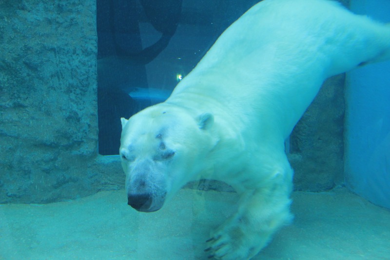 a0188405_1842065.jpg