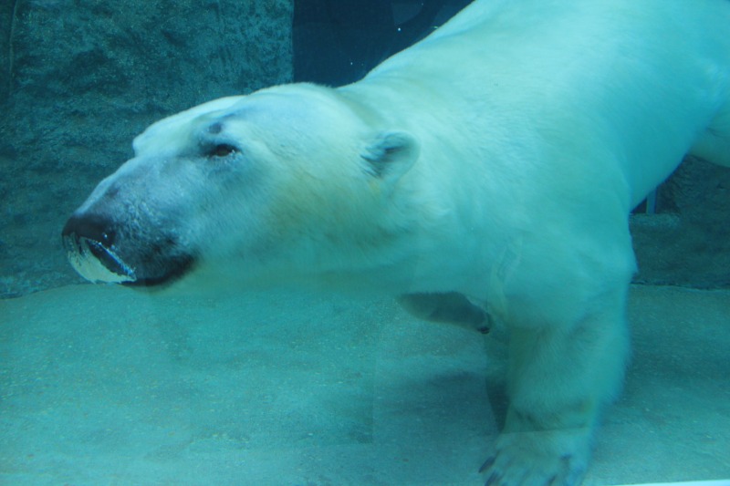 a0188405_18425234.jpg