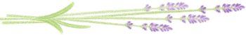 d0259506_1233321.gif