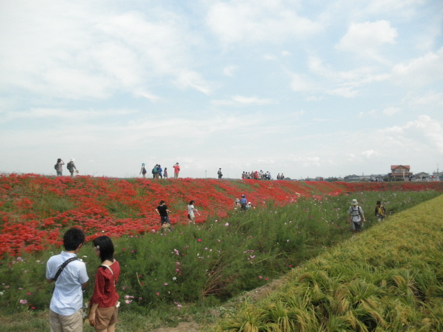 c0152507_1920151.jpg