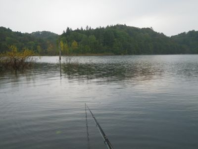 a0086316_17413341.jpg