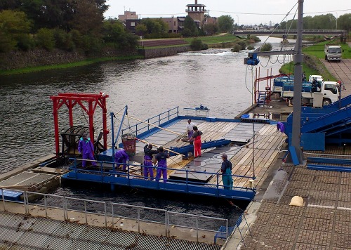 f0037518_21285613.jpg