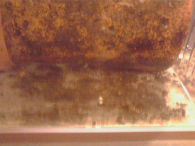 a0291521_1846564.jpg