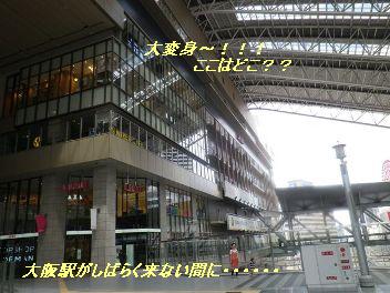 b0102728_1351147.jpg