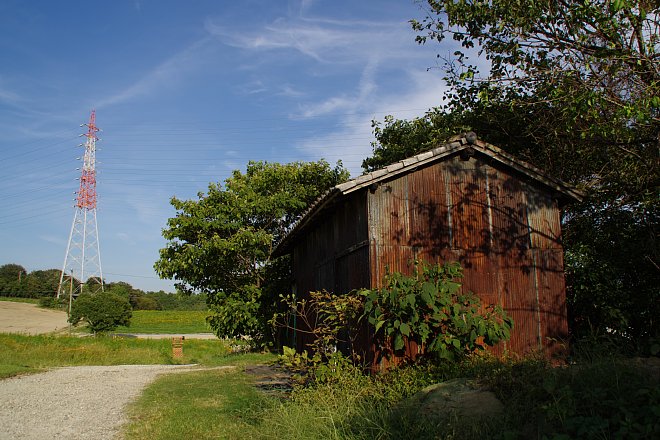 b0134829_2010423.jpg