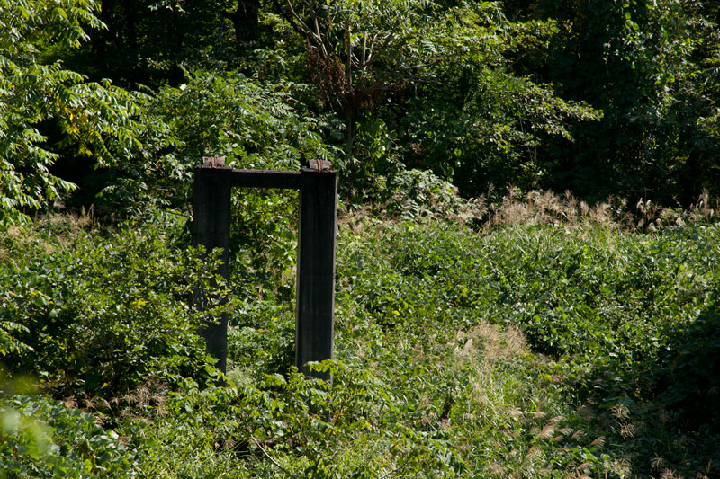 b0177233_52308.jpg