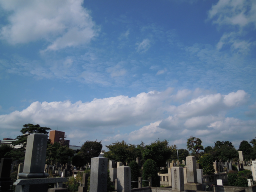 e0081334_2044070.jpg