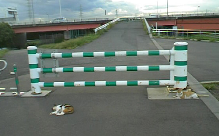 f0034334_23451557.jpg