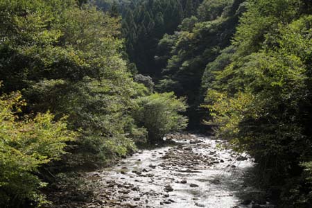 a0097735_147422.jpg