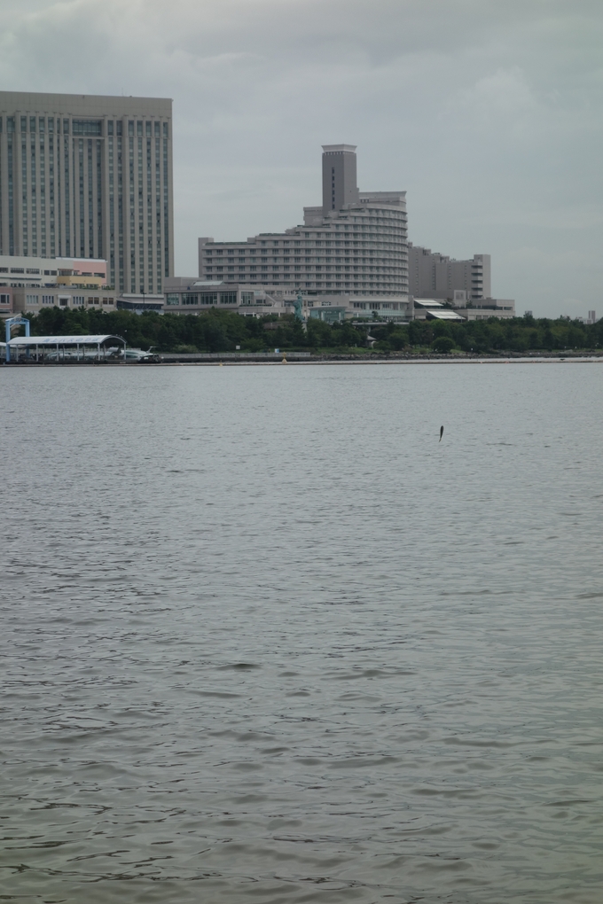 a0287336_1894518.jpg