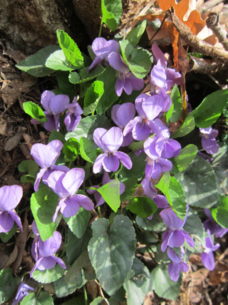 f0234936_074624.jpg