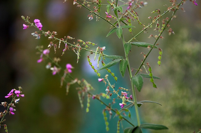 a0242438_17254596.jpg