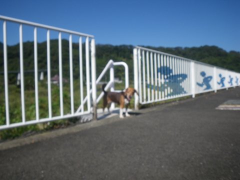 f0046250_13494194.jpg