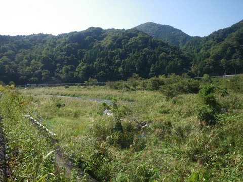 f0046250_13502738.jpg