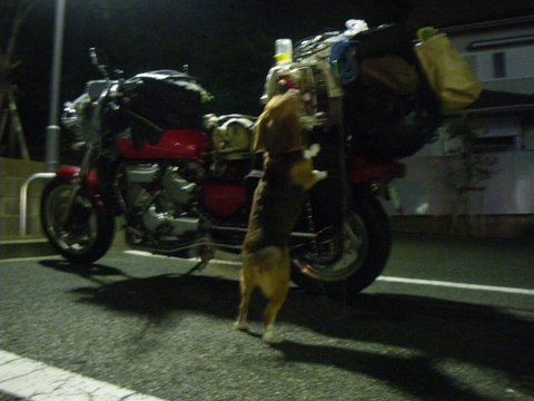 f0046250_1474526.jpg