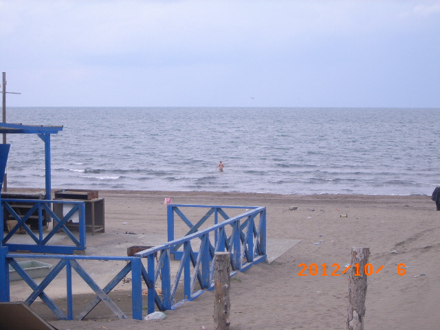 a0157451_20471810.jpg