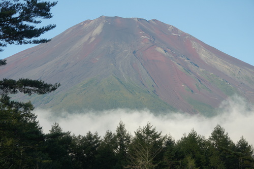 d0146153_1643234.jpg