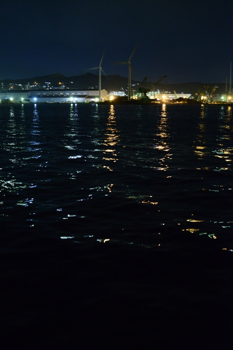 f0114954_1532187.jpg
