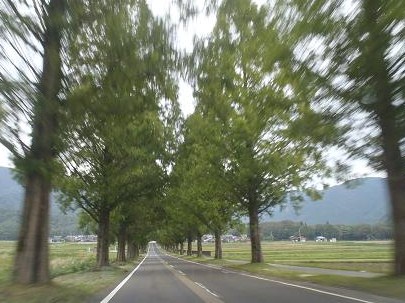 e0044657_2240439.jpg