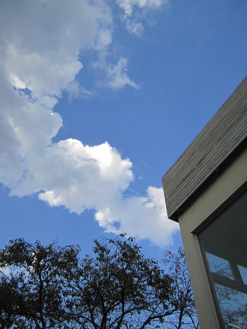 d0158258_21135329.jpg