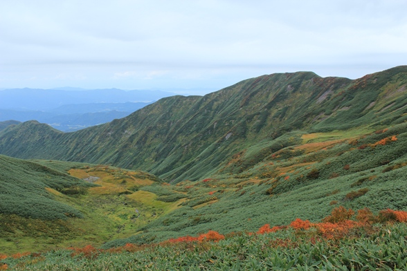 e0239458_20491521.jpg