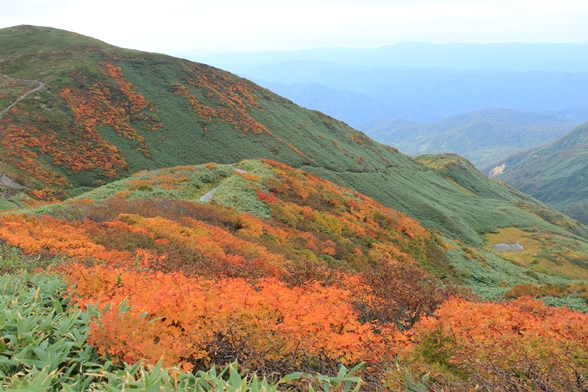 e0239458_2119335.jpg