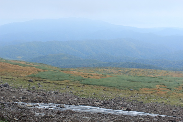 e0239458_21203676.jpg