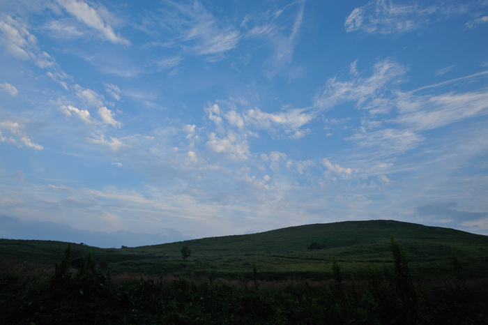 e0264158_772970.jpg
