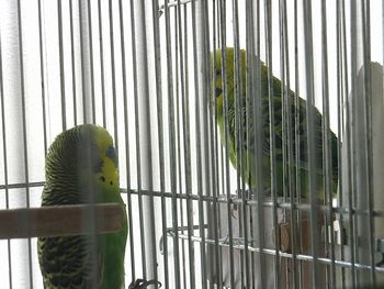 f0196665_22401180.jpg