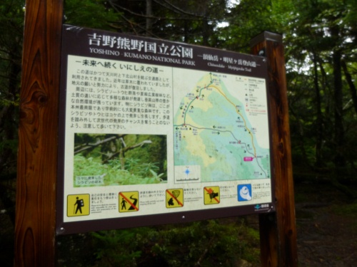 d0126573_2391379.jpg