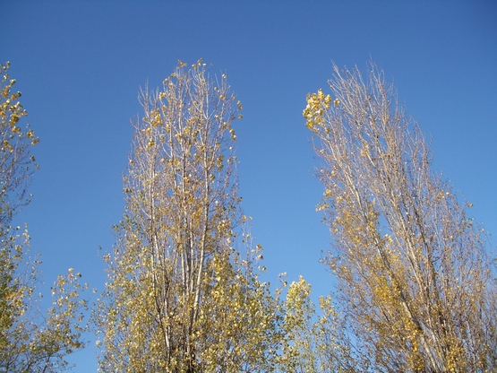d0162481_2431828.jpg