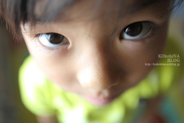 f0224584_8455837.jpg