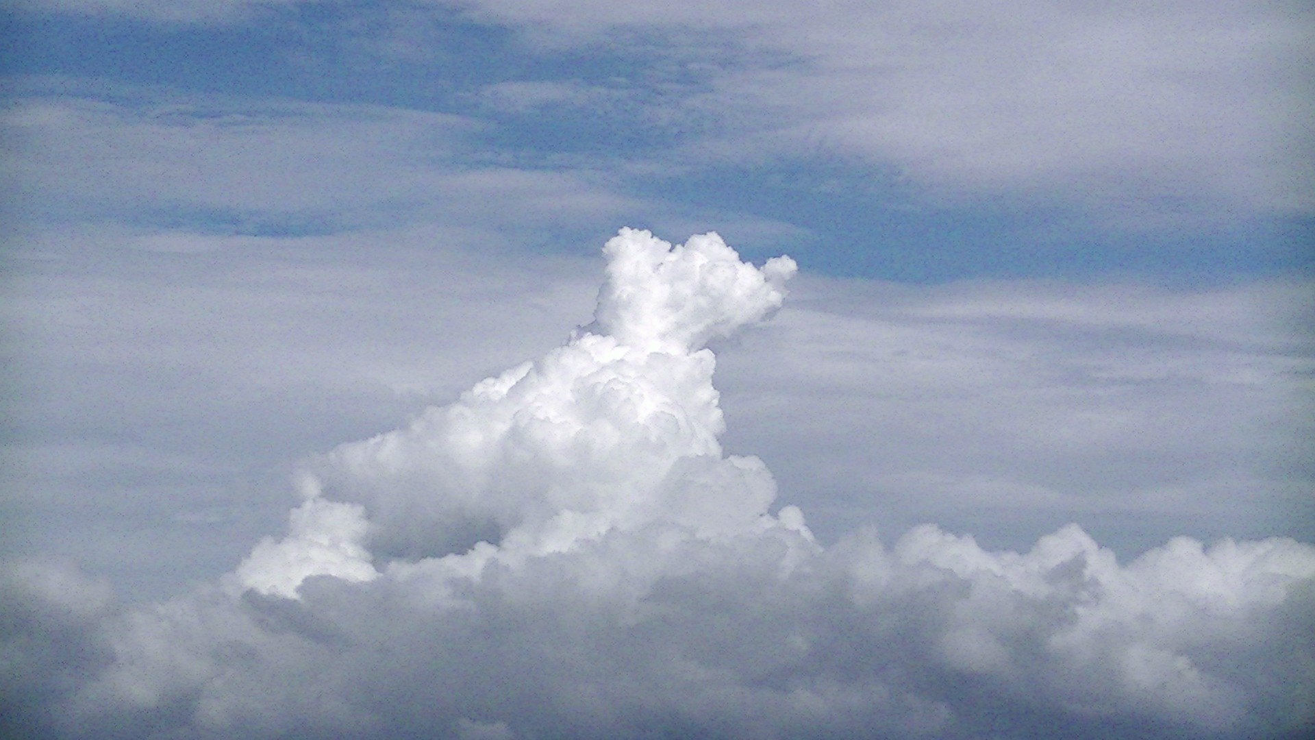 b0226386_20573619.jpg
