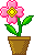 a0293798_123831.gif
