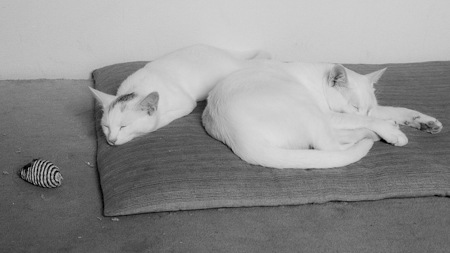 f0239100_023110.jpg
