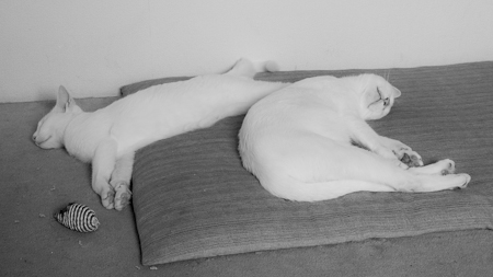 f0239100_035339.jpg