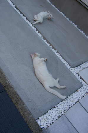 f0239100_1035350.jpg