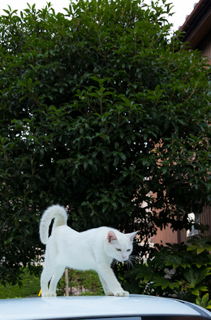 f0239100_7545620.jpg