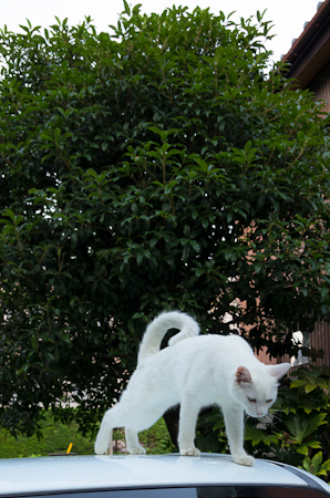 f0239100_756424.jpg